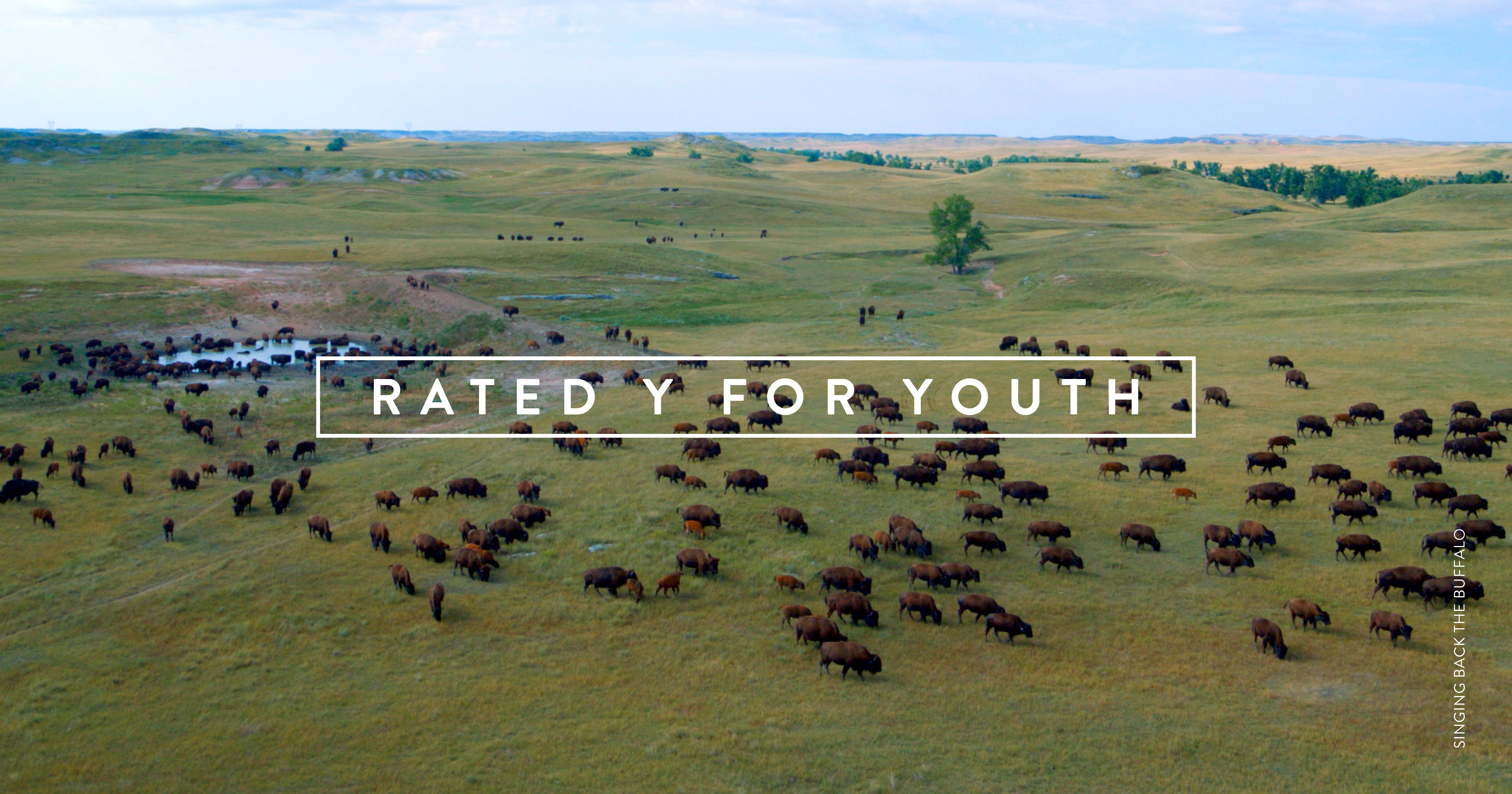 An image of a herd of buffalo grazing on a wide open green landscape, with blue sky above. White text overlaying the image reads: RATED Y FOR YOUTH